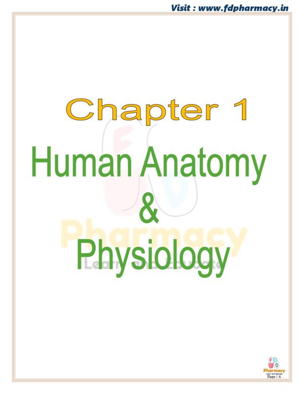 Human Anatomy & Physiology All Chapter Notes - Image 6
