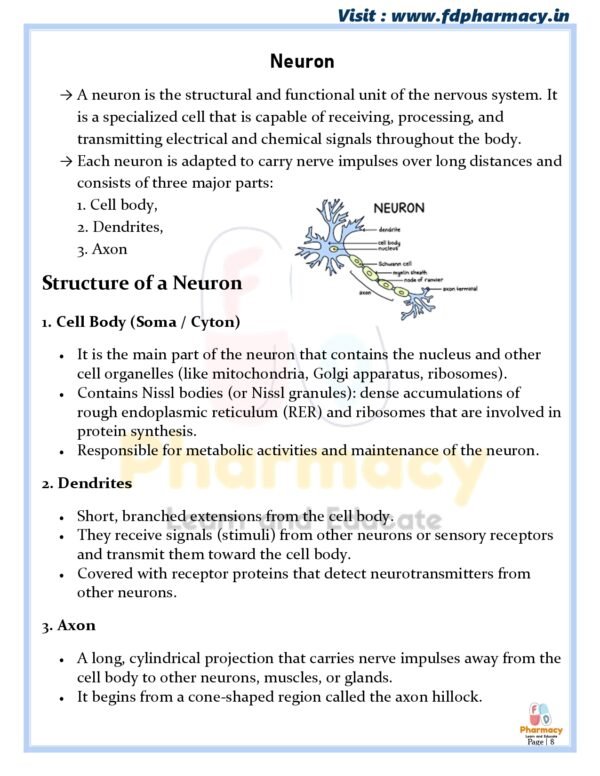 Human anatomy and physiology – II All Unit Notes – FDPharmacy